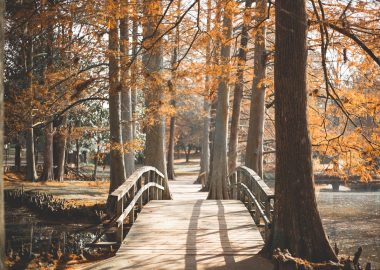 Landscaping Rockford Il